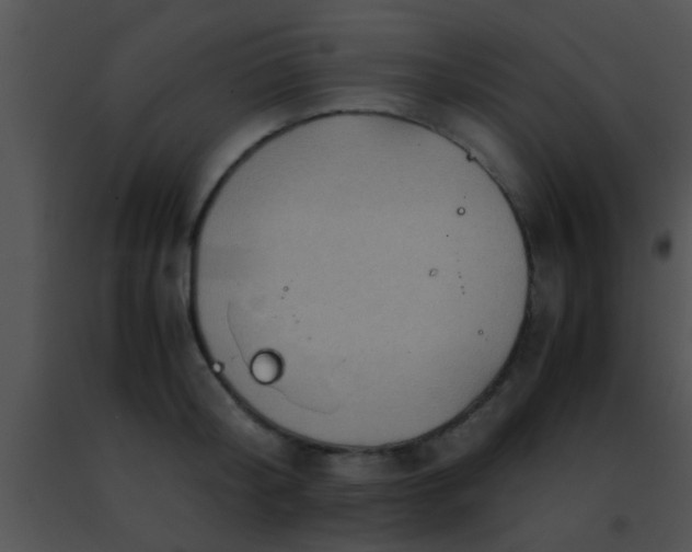 X0000091500804200708301956