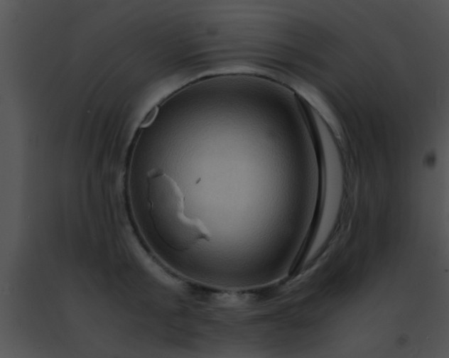 X0000091500805200708301956