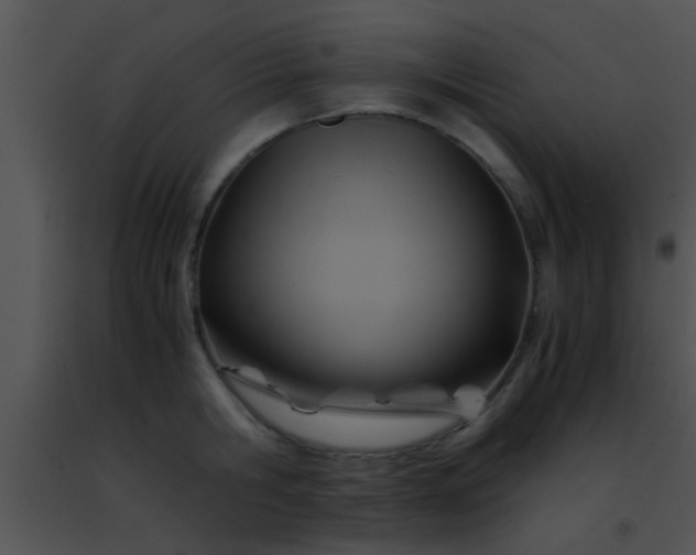 X0000091500806200708301956