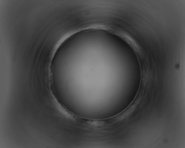 X0000091500808200708301956