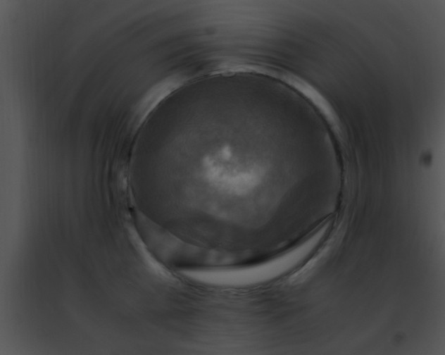 X0000091500809200708301956