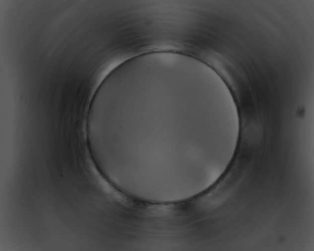 X0000091500810200708301956