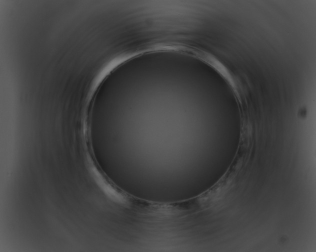 X0000091500811200708301956