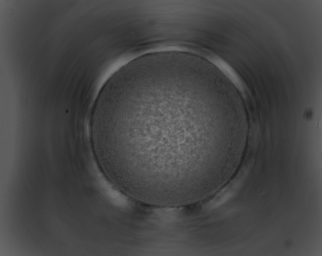 X0000091500813200708301956