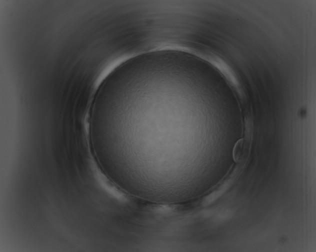 X0000091500814200708301956