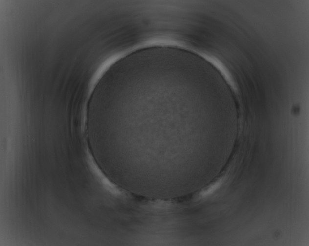 X0000091500815200708301956