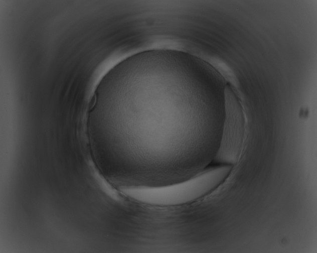 X0000091500816200708301956