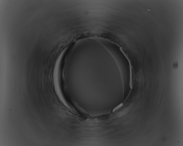 X0000091500818200708301956