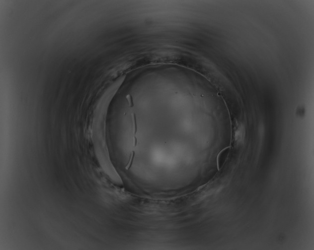 X0000091500819200708301956