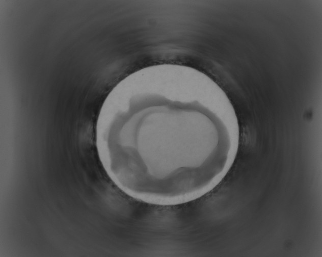 X0000091500820200708301956