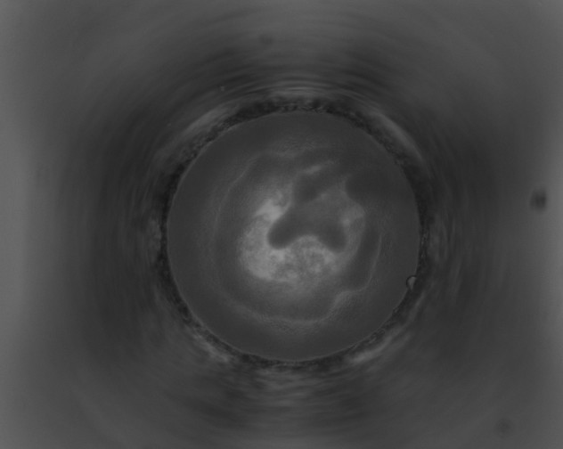 X0000091500821200708301956