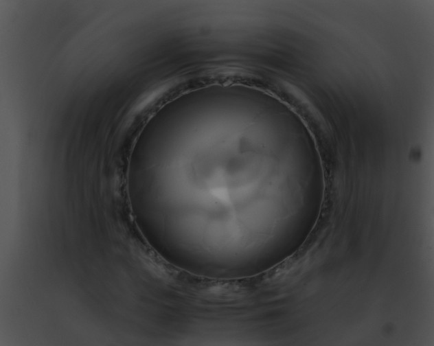 X0000091500823200708301956