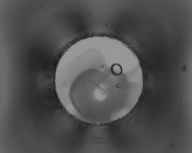 X0000091500824200708301956