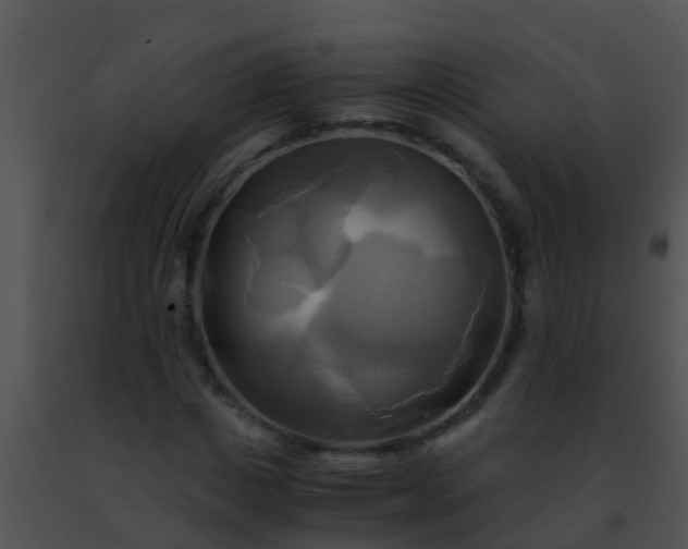 X0000091500825200708301956