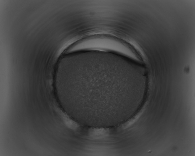 X0000091500826200708301956