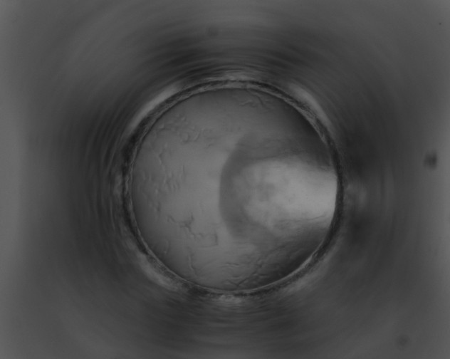 X0000091500827200708301956