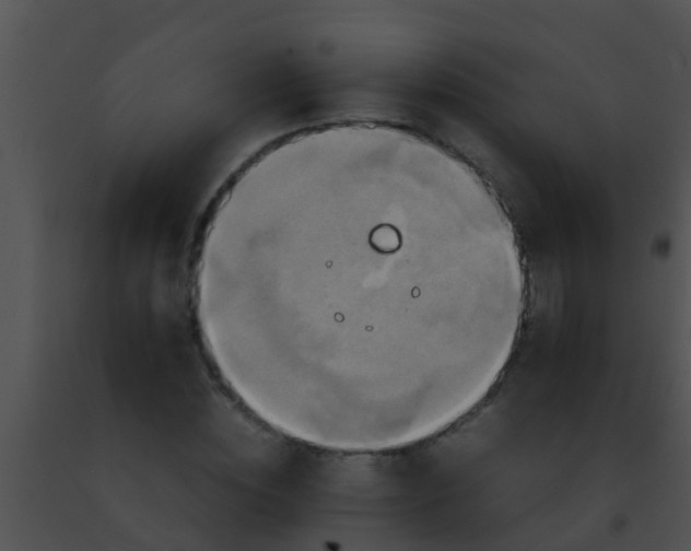 X0000091500828200708301956