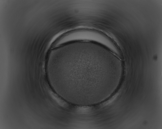 X0000091500830200708301956