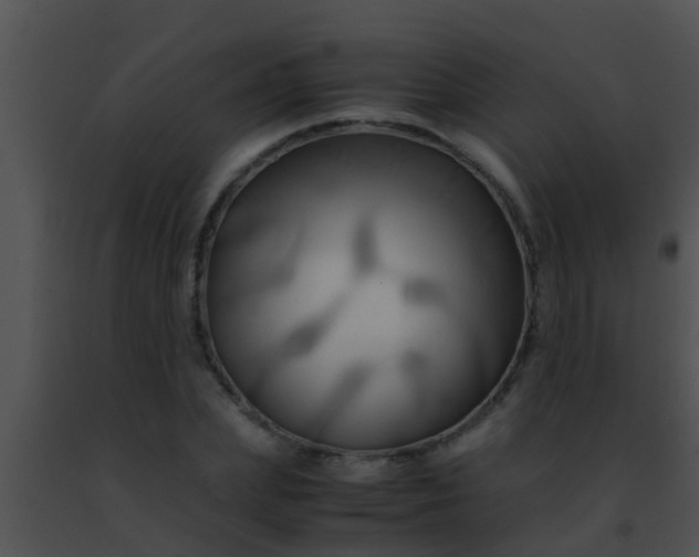 X0000091500831200708301956