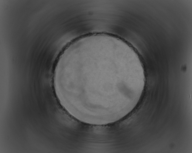 X0000091500832200708301956