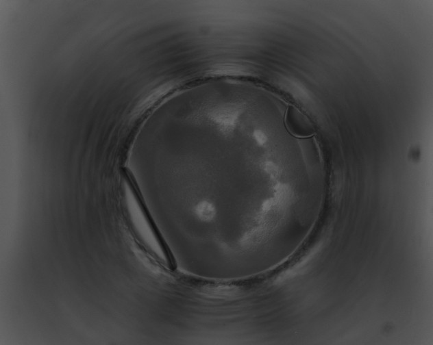 X0000091500833200708301956