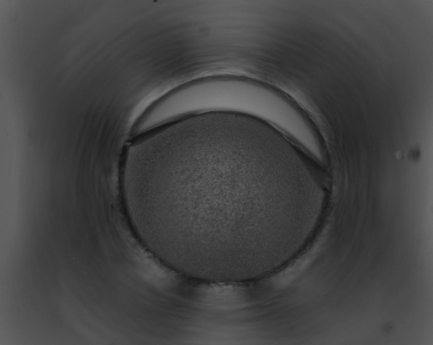 X0000091500834200708301956