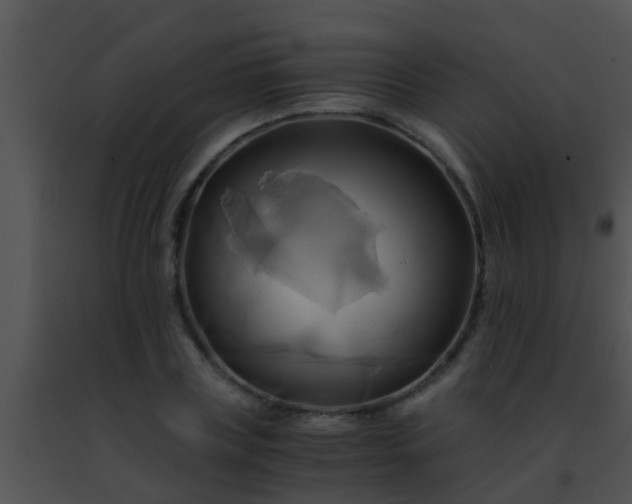 X0000091500835200708301956