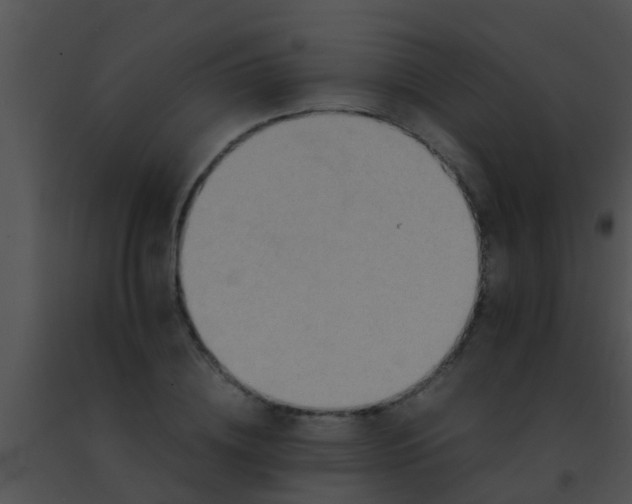 X0000091500836200708301956