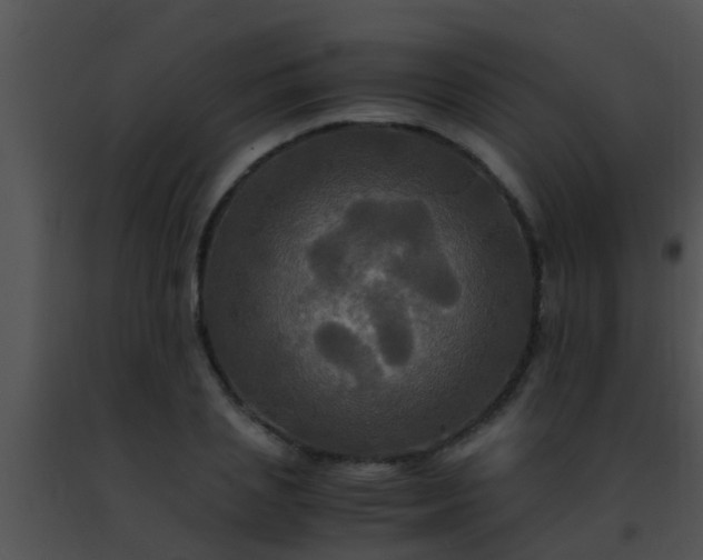 X0000091500837200708301956