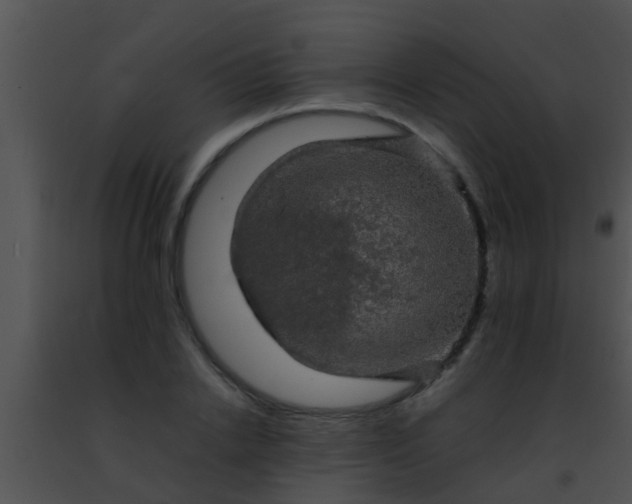 X0000091500838200708301956