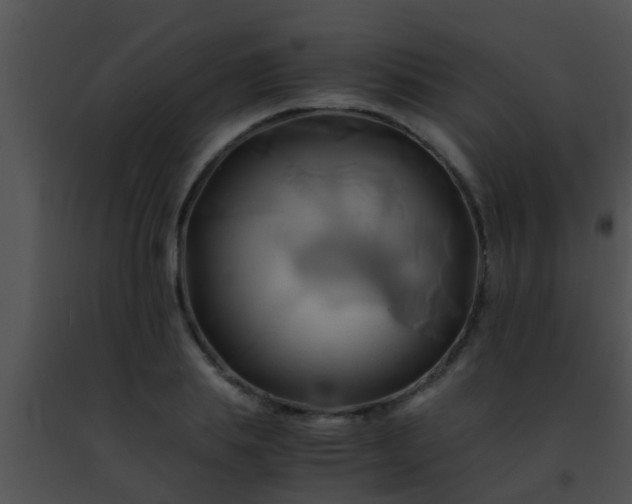 X0000091500839200708301956