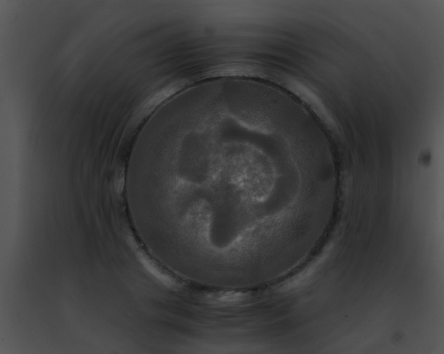 X0000091500841200708301956