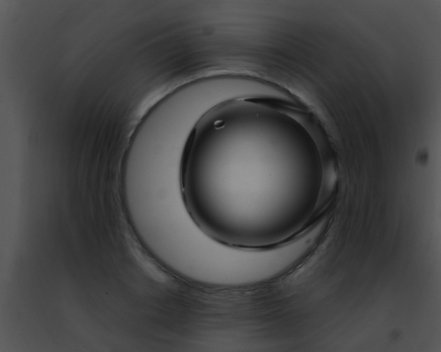 X0000091500842200708301956