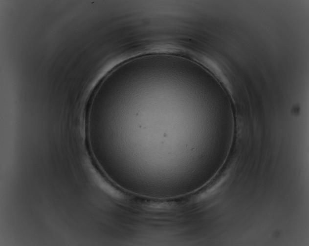 X0000091500843200708301956