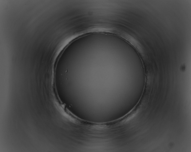 X0000091500844200708301956