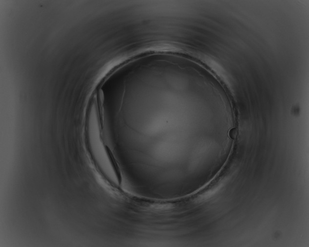 X0000091500845200708301956