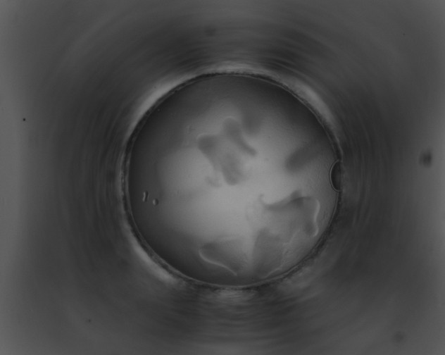 X0000091500847200708301956