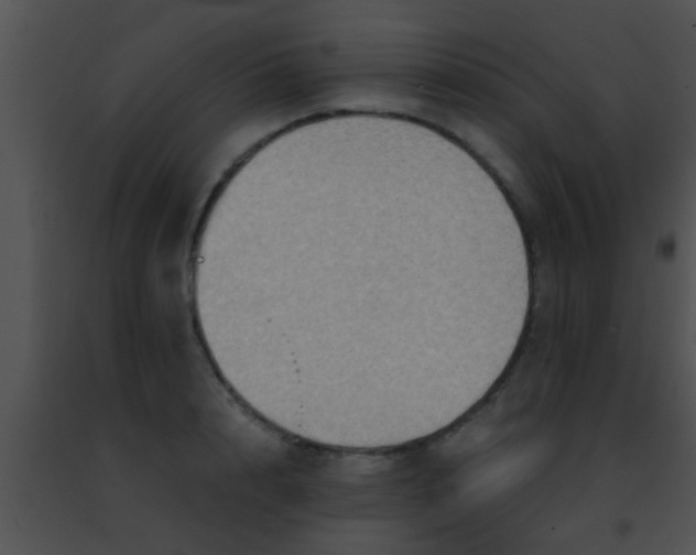 X0000091500848200708301956