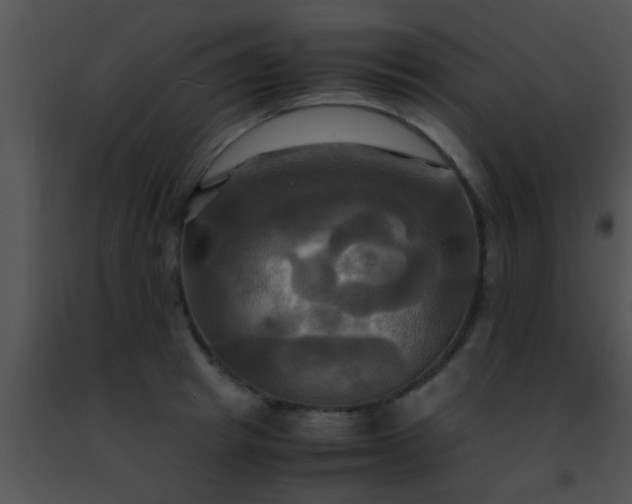 X0000091500849200708301956