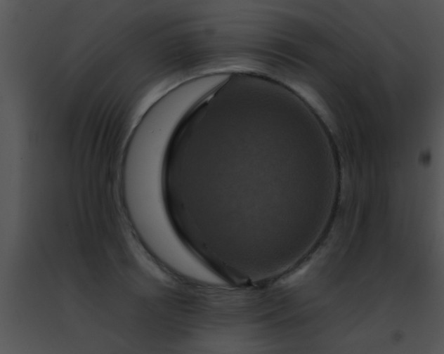 X0000091500850200708301956