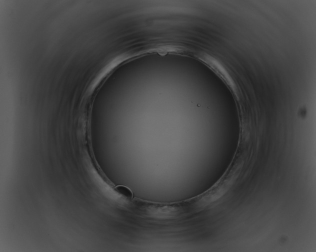 X0000091500851200708301956