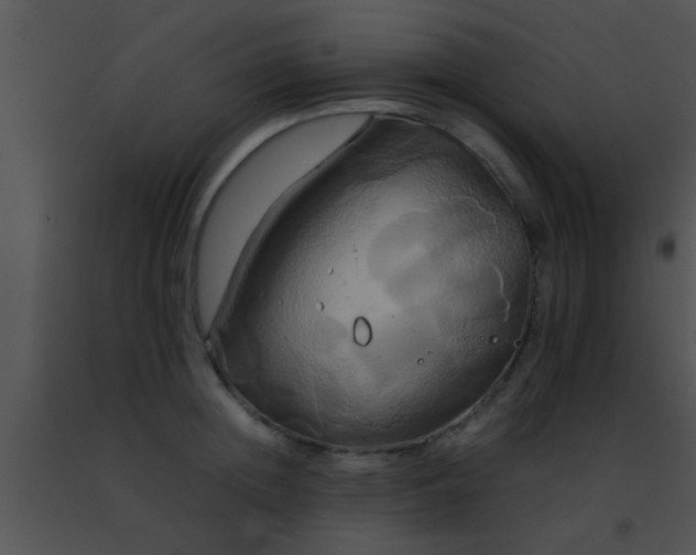 X0000091500852200708301956