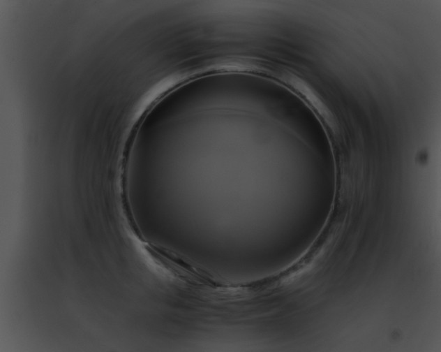 X0000091500853200708301956