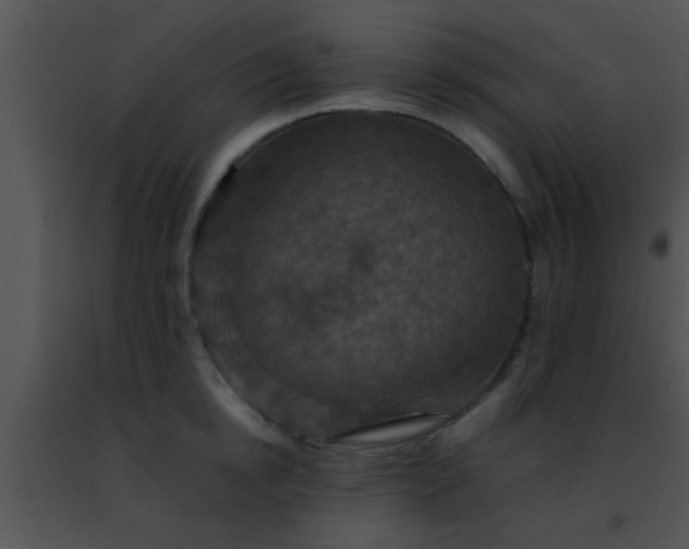 X0000091500854200708301956