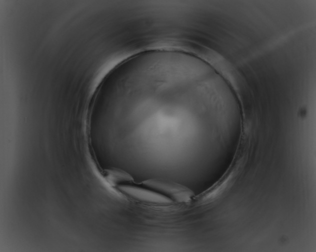 X0000091500855200708301956