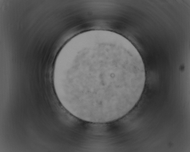 X0000091500856200708301956