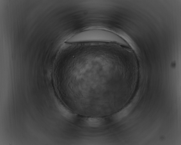 X0000091500857200708301956