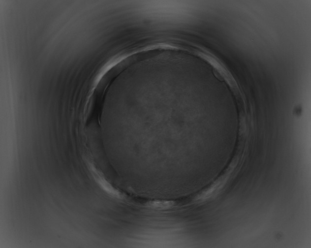 X0000091500858200708301956