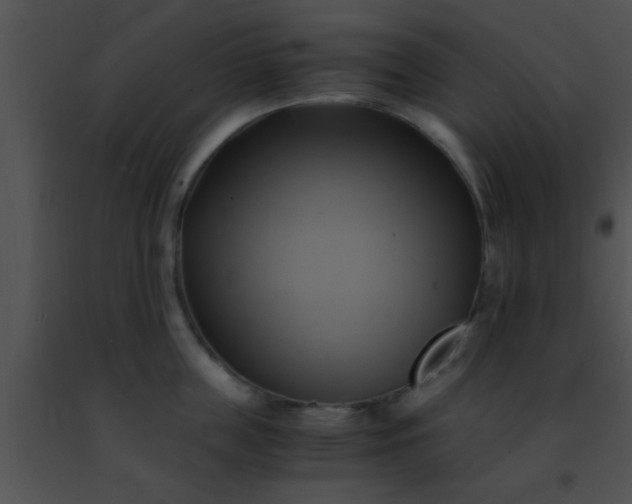 X0000091500859200708301956