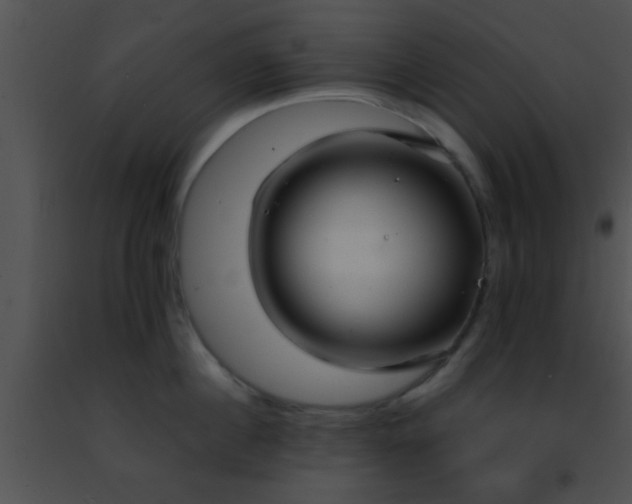 X0000091500860200708301956